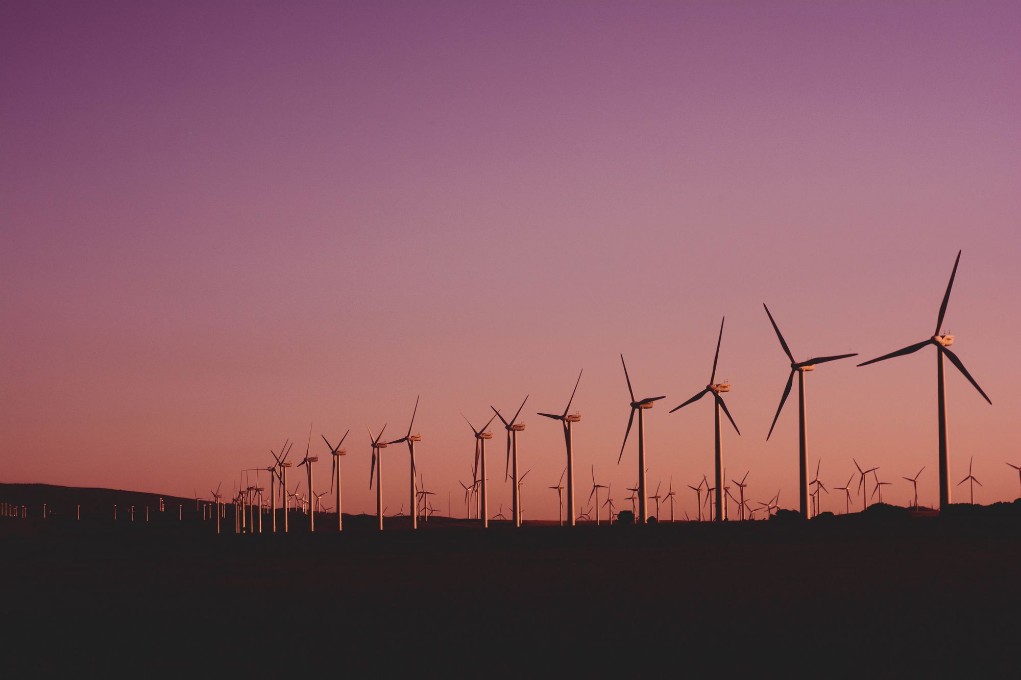 Wind turbines in a field against purple sky
